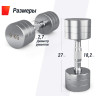 Гантель UNIX FIT PRO круглая хромированная 9 кг, 2 шт. DBRND9PCEx2